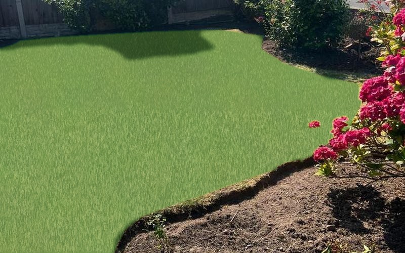 Freshly cut lawn with newly edged borders