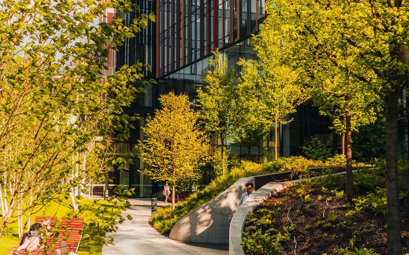 Clean paved walkway and tidy planting outside a modern office building